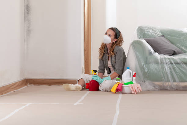 Reliable Basement Mold Removal contractor in Elm City, NC by WQB Mold Removal